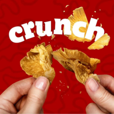 Crunch Mushroom Chips (2 Packs)